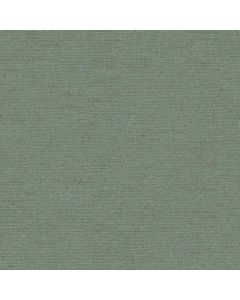 ICEBERG GREEN