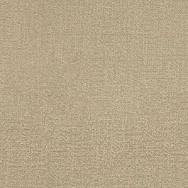 BOUCLE DELIGHT