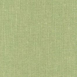 Pistachio
